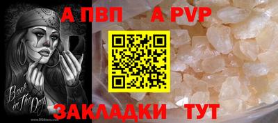 стаф Можга