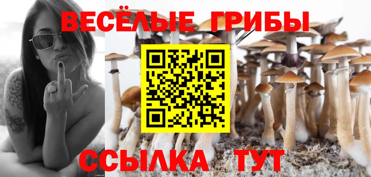 Псилоцибиновые грибы GOLDEN TEACHER Ухта